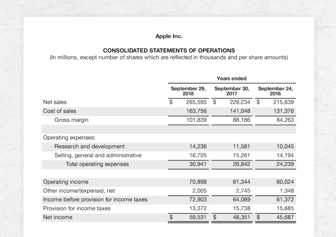 Income Statements Explained: Definition and Examples - Pareto Labs