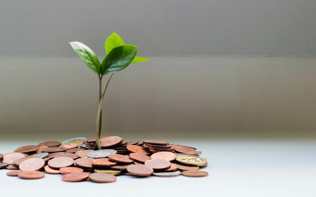 small plant growing out of pile of coins