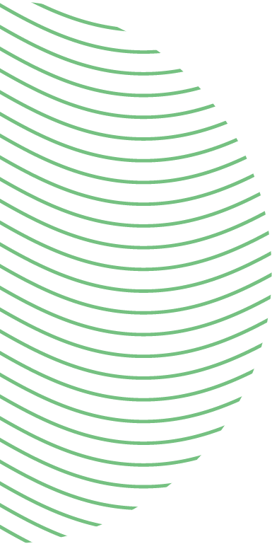 Asset 6